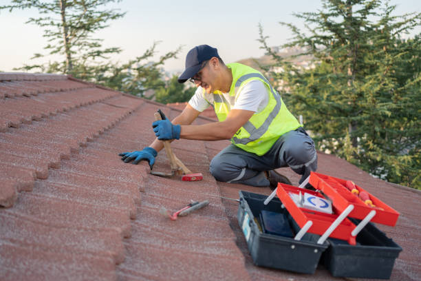 Best Roof Gutter Cleaning  in Geneva, AL