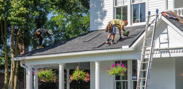 Best Storm Damage Roof Repair  in Geneva, AL
